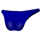 Bali Blue Bikini Bottom